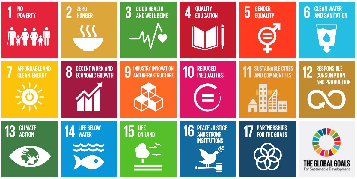 SDGs sustainable development goals