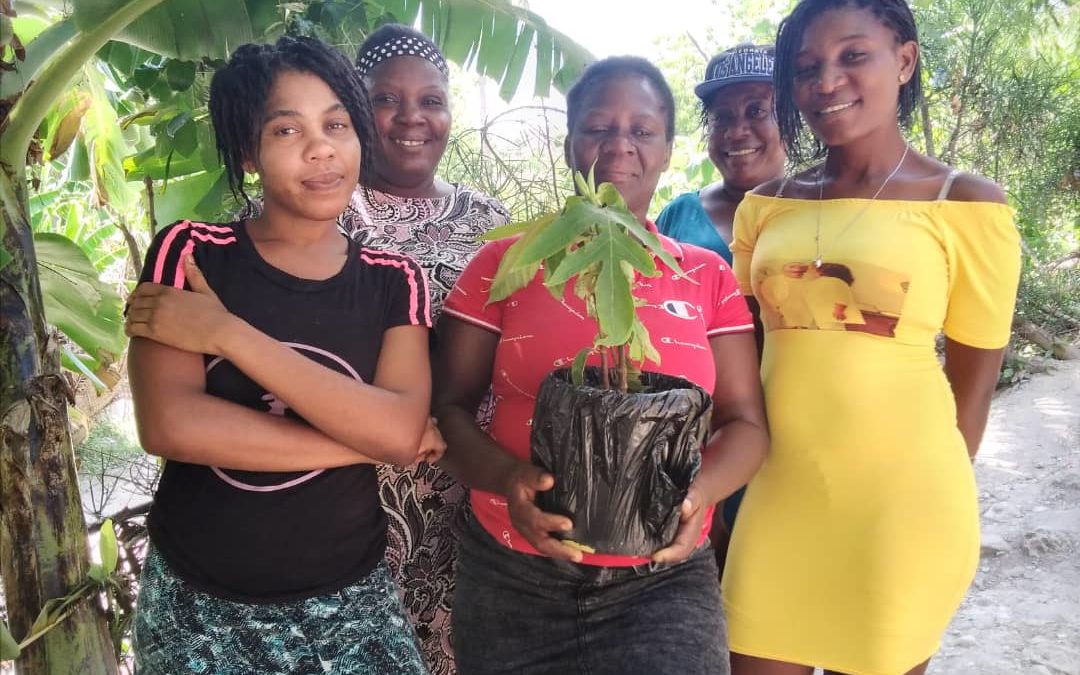 Haitian women with breadfruit sapling community solutions