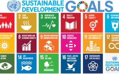 The Sustainable Development Goals (SDGs) to Transform Our World by 2030.