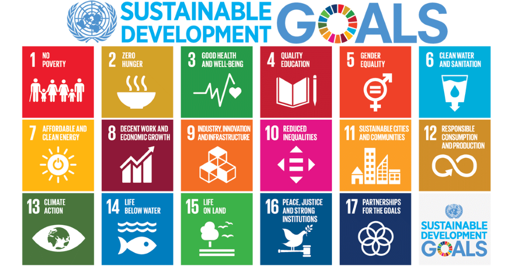 The Sustainable Development Goals (SDGs) to Transform Our World by 2030.