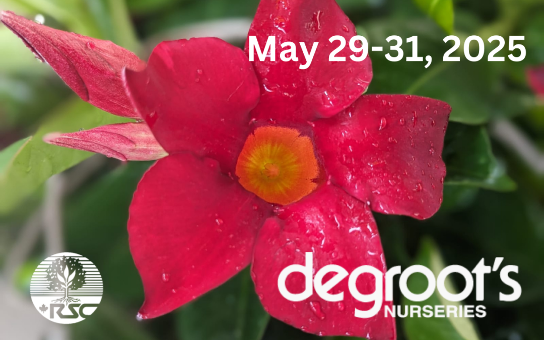 DeGroot’s – Rayjon Plant Sale (2025)