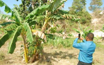 Tale of Two Gardens: The Importance of Gardening for Food Sovereignty and Environmental Impact